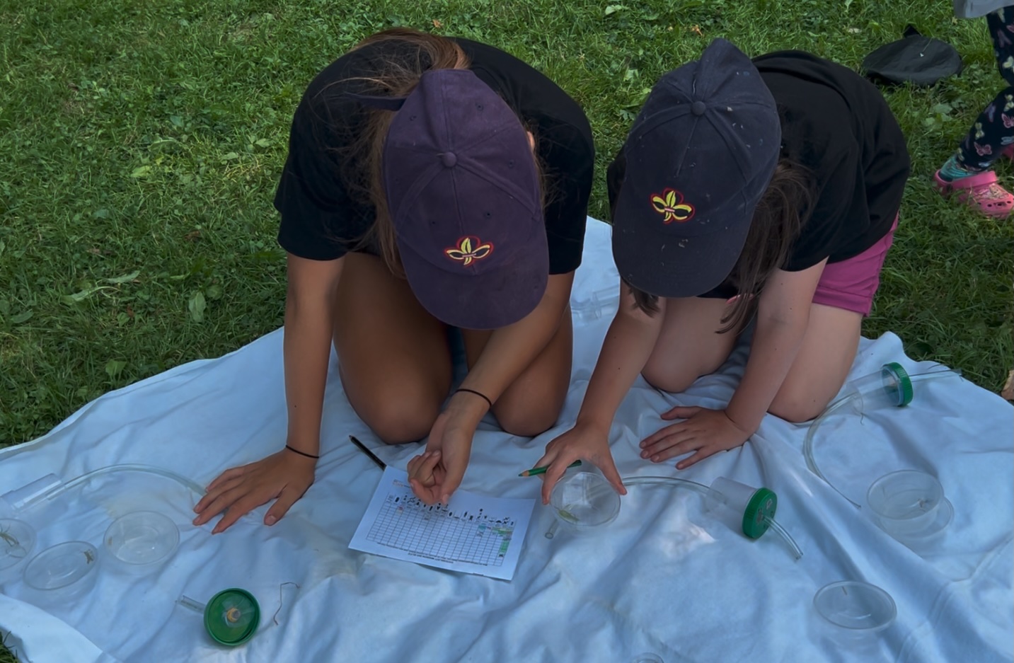 Mehr über den Artikel erfahren Workshop Biodiversität am Sommerlager